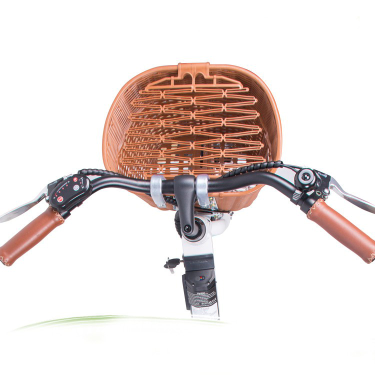 Lee6110 Elektro-Citybike 26