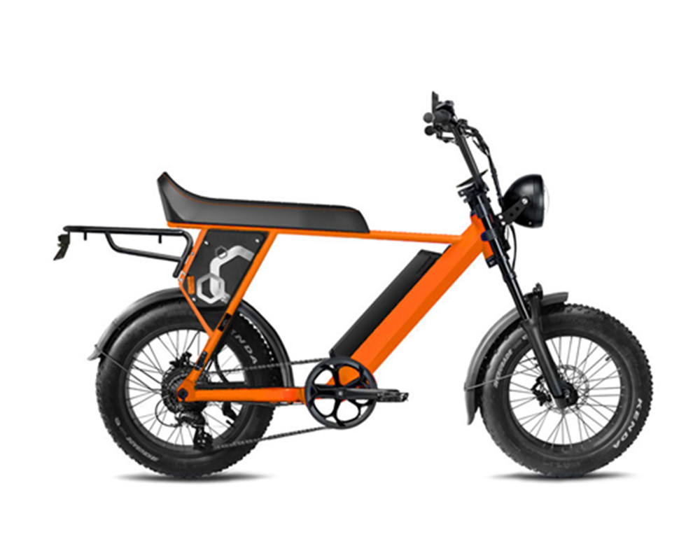 E-Bike im Scrambler-Stil lee9410
   