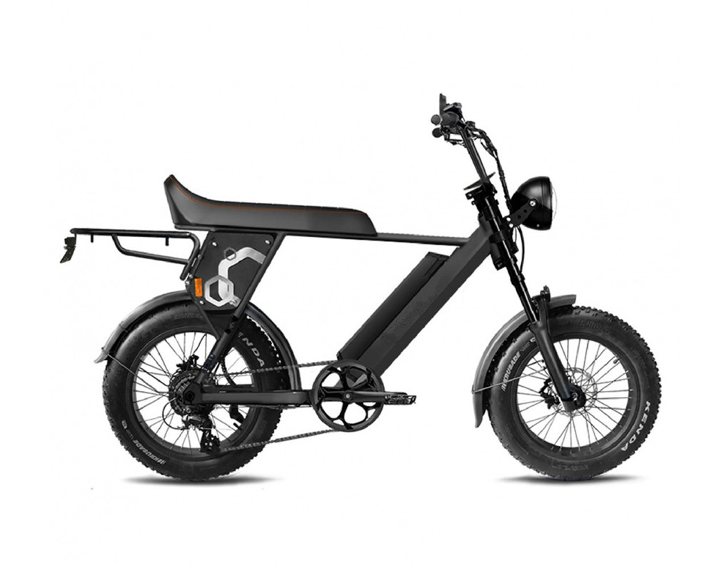 E-Bike im Scrambler-Stil lee9410
   