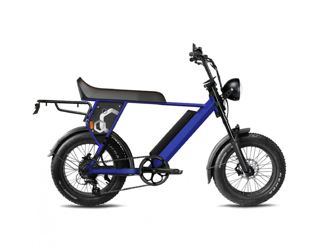 E-Bike im Scrambler-Stil lee9410
   