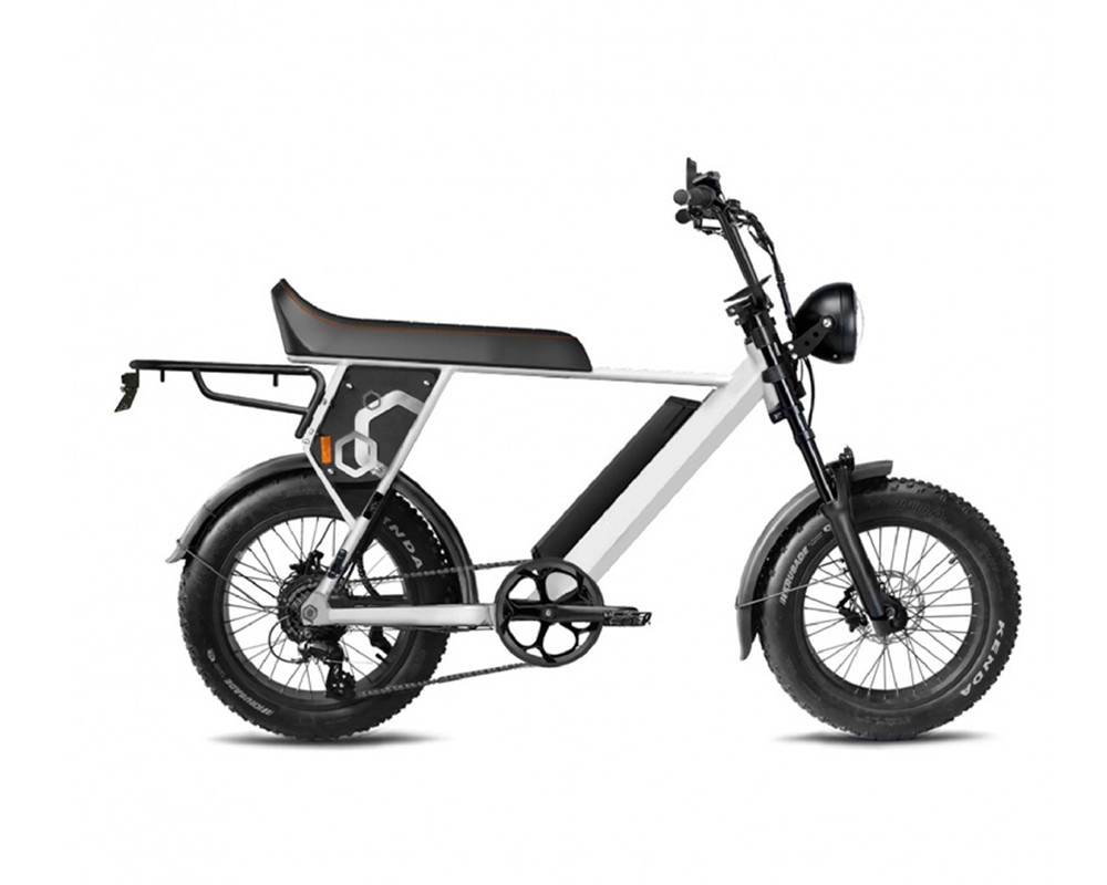 E-Bike im Scrambler-Stil lee9410
   