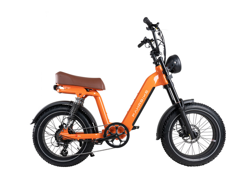 Elektrofahrrad in verschiedenen Ausführungen
   