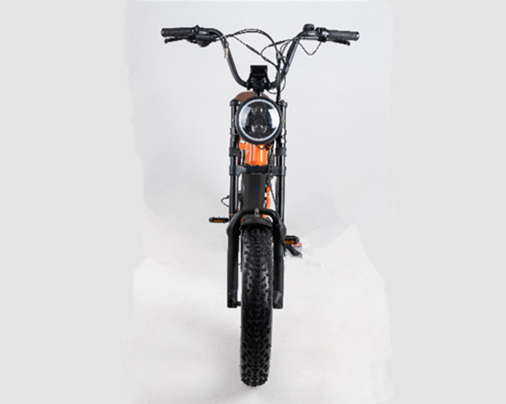 Lee9420 Elektrofahrrad im Moped-Stil
   