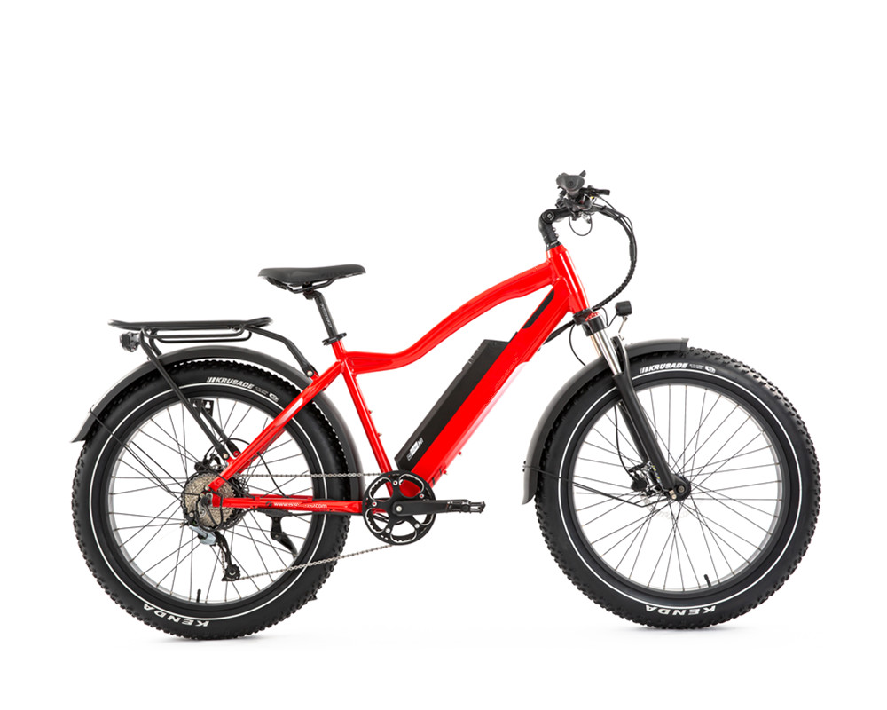 Lee9050 Elektrisches Mountainbike mit Fatbike-Reifen und Hochleistungsmotor
   