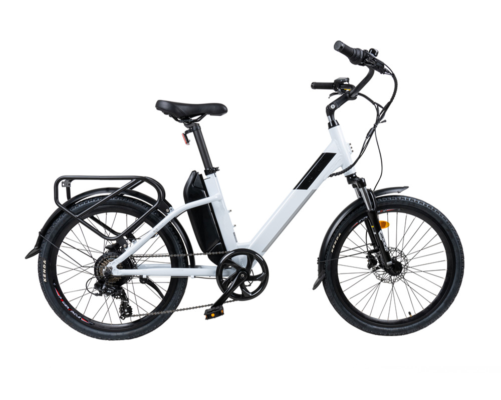 Lee6210 Damen-Elektrofahrrad mit tiefem Einstieg
   