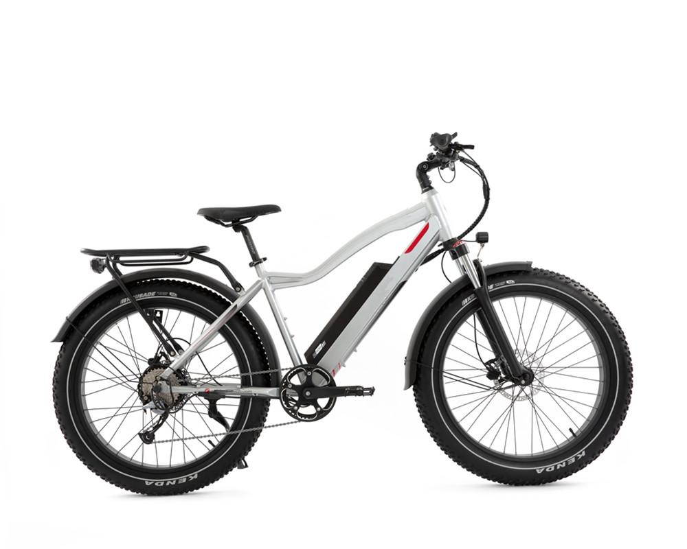 Lee9050 Elektrisches Mountainbike mit Fatbike-Reifen und Hochleistungsmotor
   
