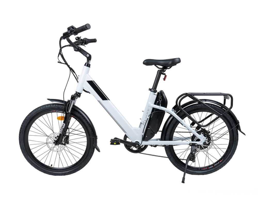 Lee6210 Damen-Elektrofahrrad mit tiefem Einstieg
   