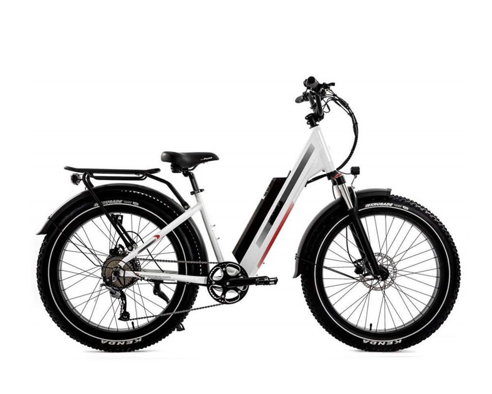 Lee9060 Fat Mountain Elektrofahrrad
   