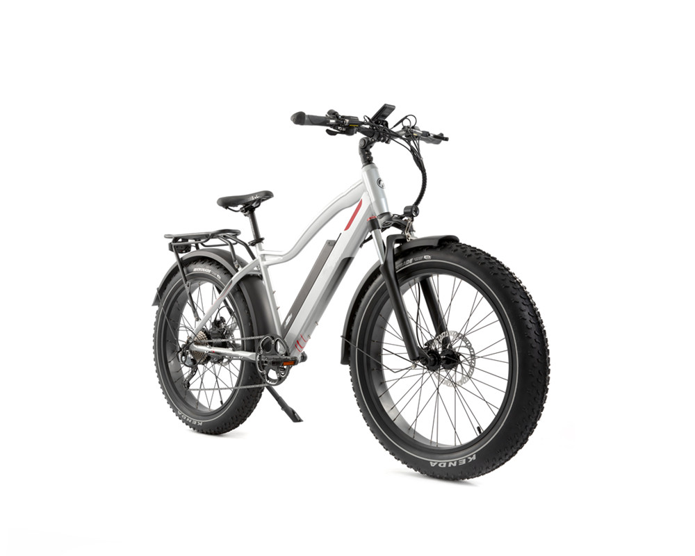 Lee9050 Elektrisches Mountainbike mit Fatbike-Reifen und Hochleistungsmotor
   