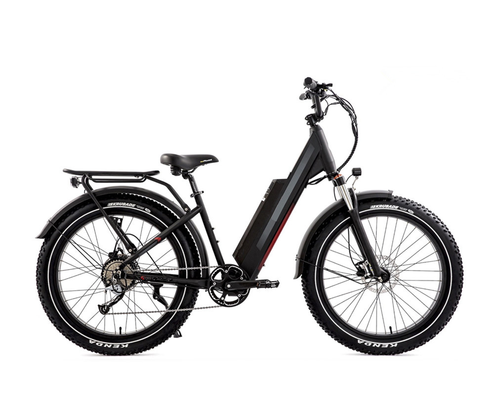 Lee9060 Fat Mountain Elektrofahrrad
   