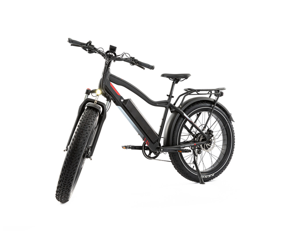 Lee9050 Elektrisches Mountainbike mit Fatbike-Reifen und Hochleistungsmotor
   