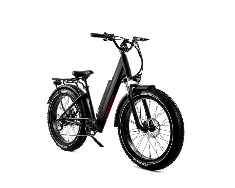 Lee9060 Fat Mountain Elektrofahrrad
   