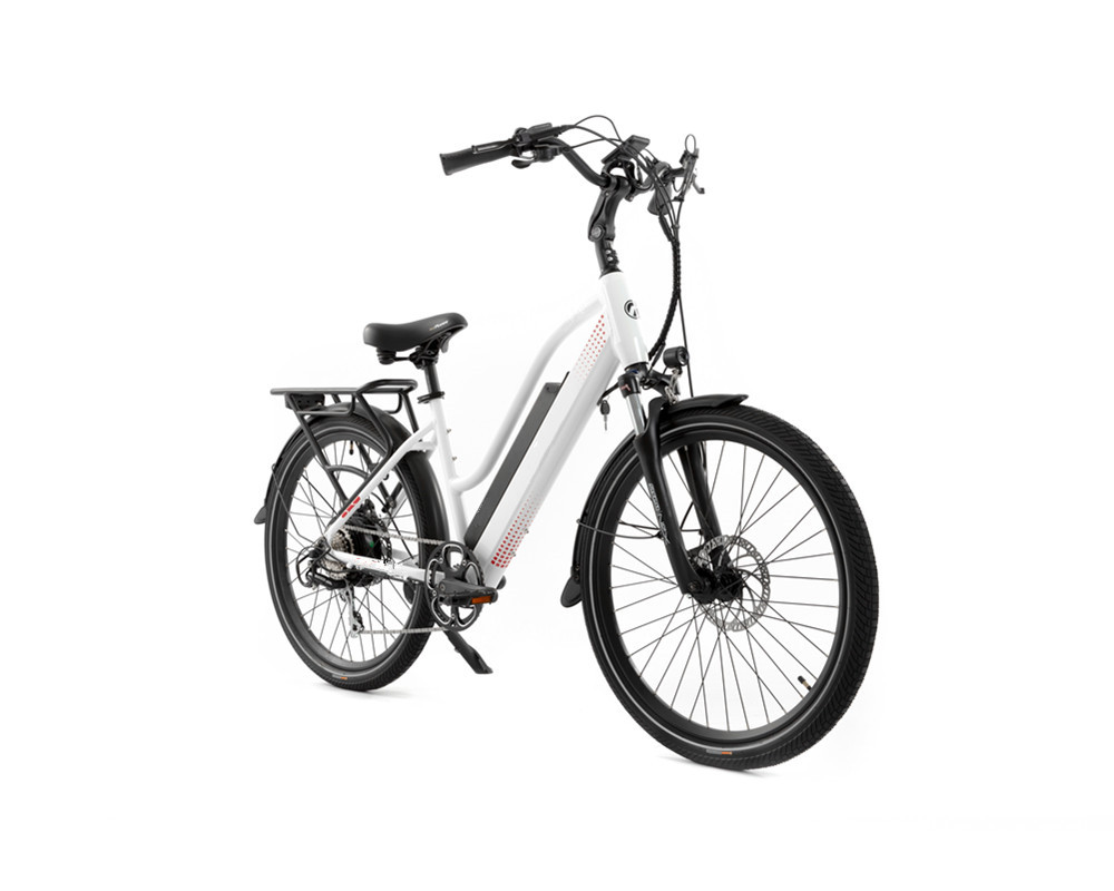 Lee6120 Fashion City Elektrofahrrad
   