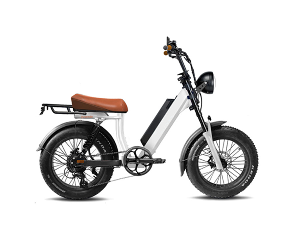 Moped-ähnliches Fatbike-Elektrofahrrad lee9400
   