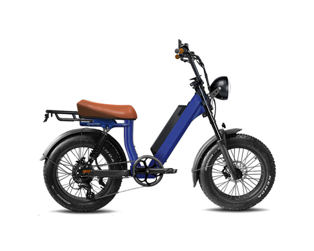 Moped-ähnliches Fatbike-Elektrofahrrad lee9400
   