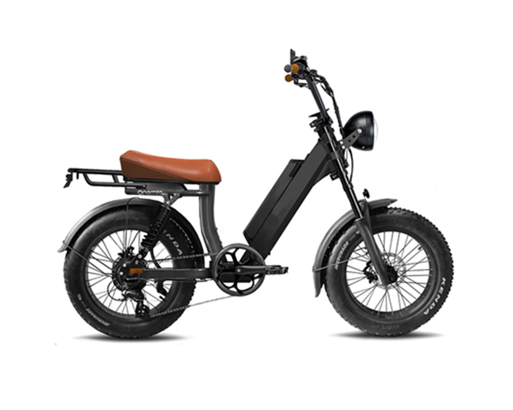 Moped-ähnliches Fatbike-Elektrofahrrad lee9400
   