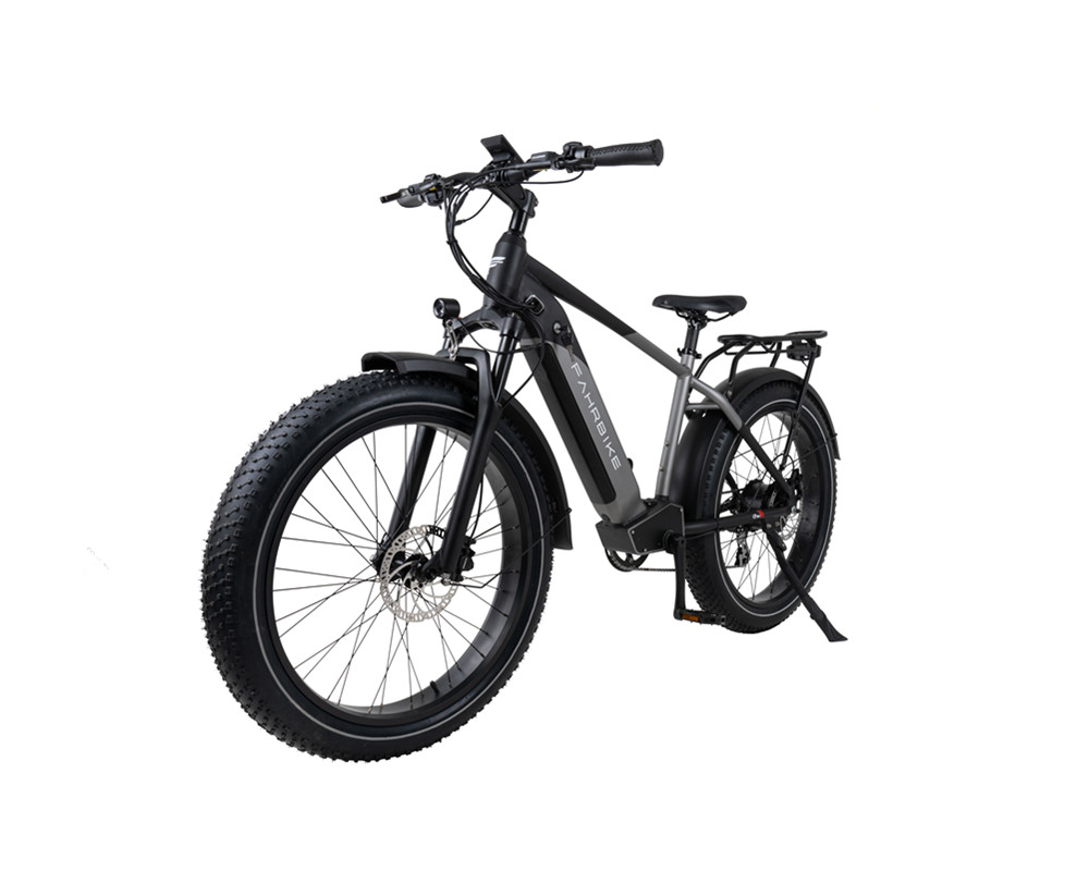 Fat Tire Snow Beach Elektro-Mountainbike lee9030
   