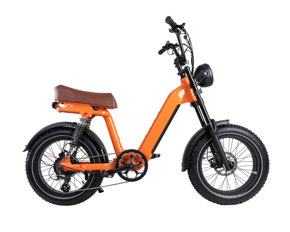 Lee9420 Elektrofahrrad im Moped-Stil
   