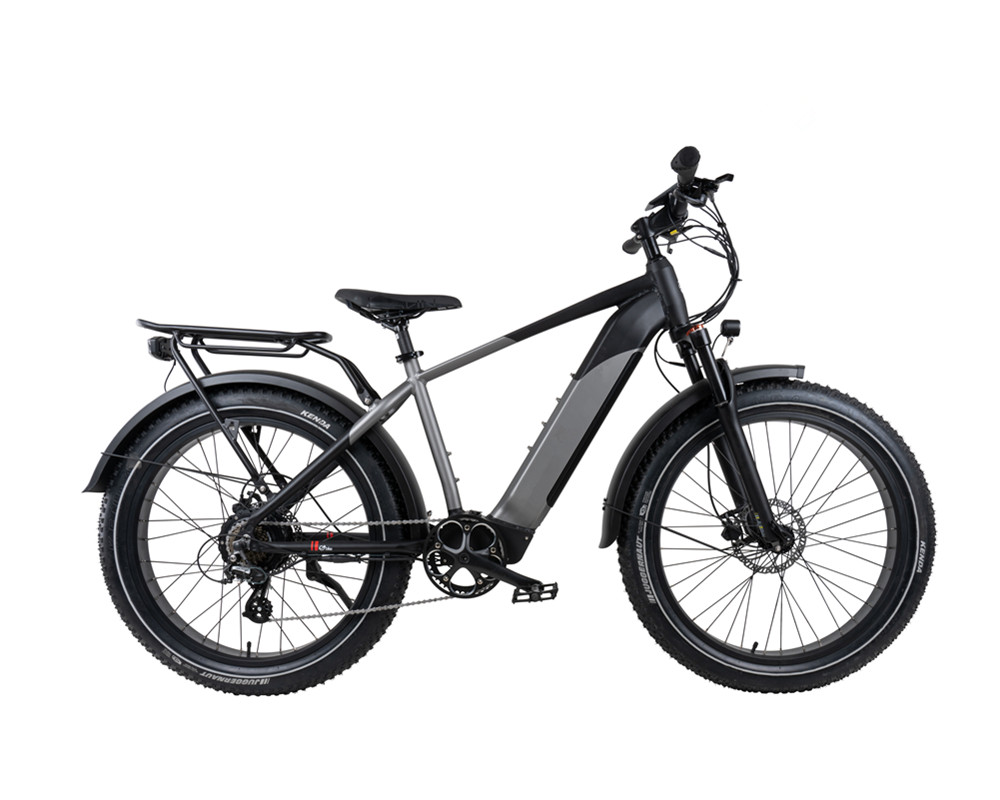 Fat Tire Snow Beach Elektro-Mountainbike lee9030
   