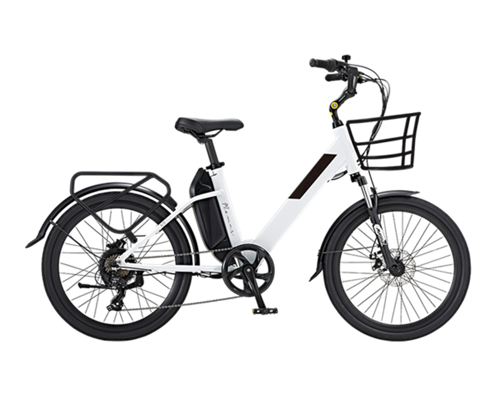Elektrofahrrad in China
   