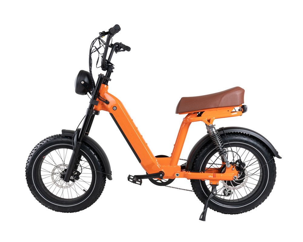 Lee9420 Elektrofahrrad im Moped-Stil
   