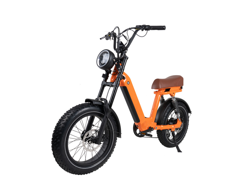 Lee9420 Elektrofahrrad im Moped-Stil
   