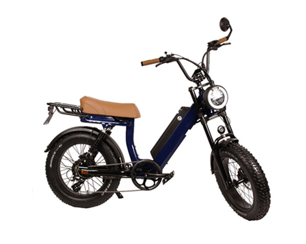 Utility-E-Bikes, Elektromopeds, Fatbikes, Lee9400
   