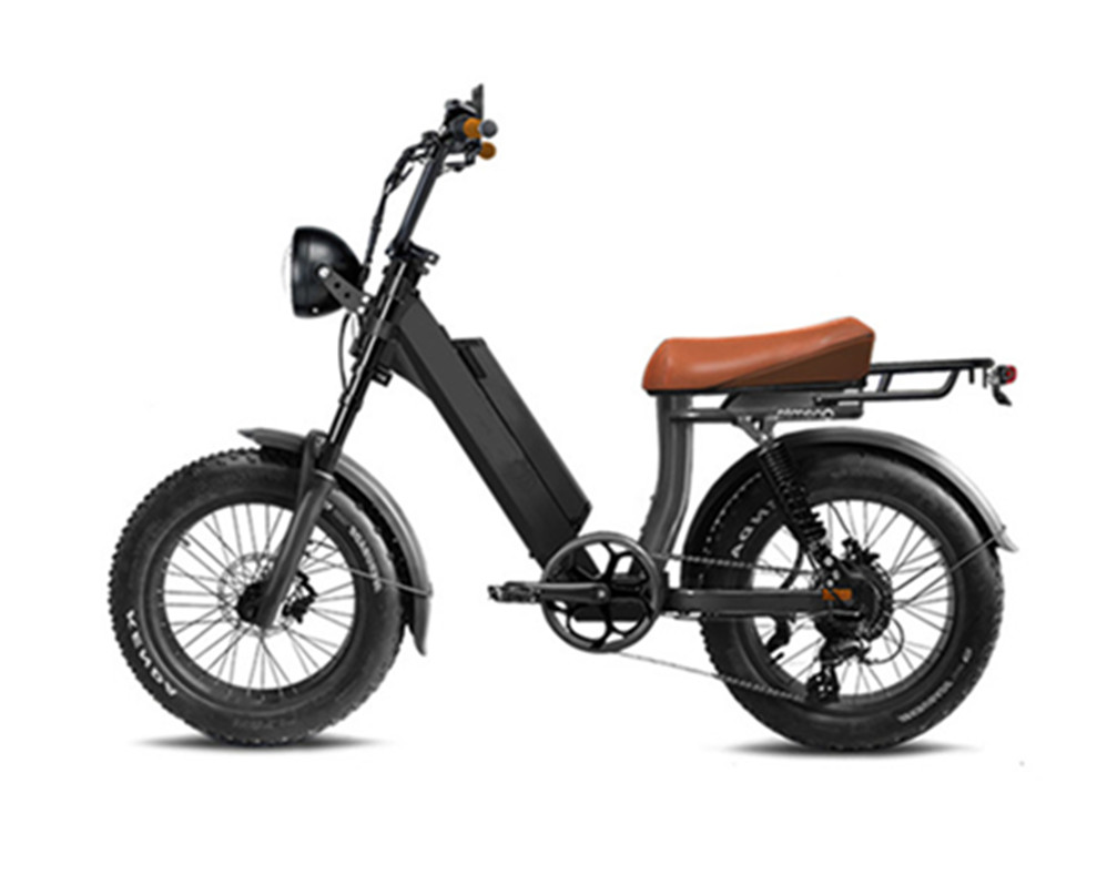 Utility-E-Bikes, Elektromopeds, Fatbikes, Lee9400
   