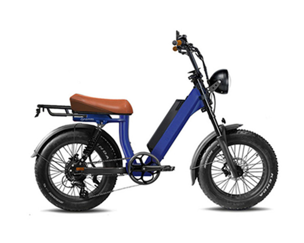 Utility-E-Bikes, Elektromopeds, Fatbikes, Lee9400
   