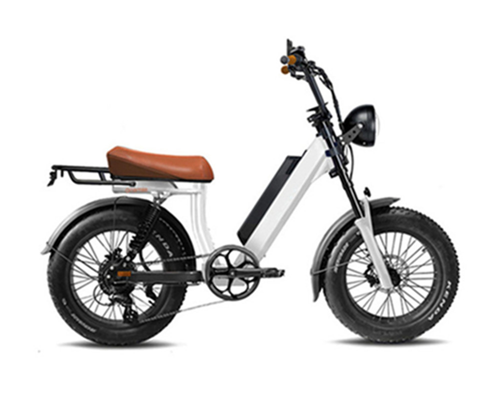Utility-E-Bikes, Elektromopeds, Fatbikes, Lee9400
   