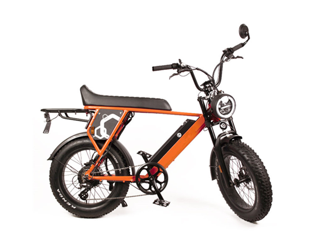 Super Electric Motorbike Scrambler Typ E-Bike Utility Fat Tire E-Bike Geschwindigkeit Lee9410-1
   