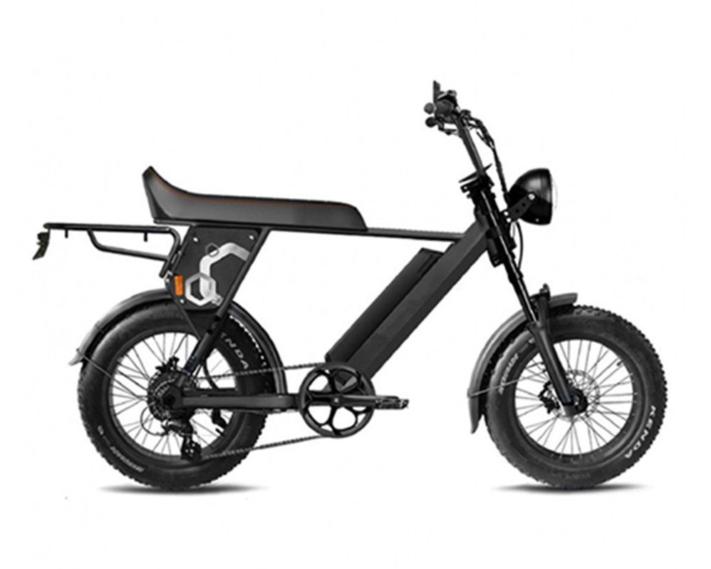 Super Electric Motorbike Scrambler Typ E-Bike Utility Fat Tire E-Bike Geschwindigkeit Lee9410-1
   