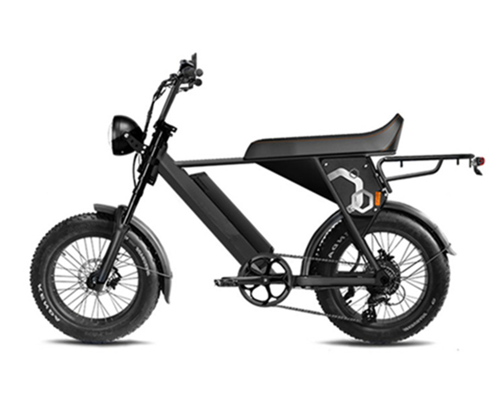 Super Electric Motorbike Scrambler Typ E-Bike Utility Fat Tire E-Bike Geschwindigkeit Lee9410-1
   