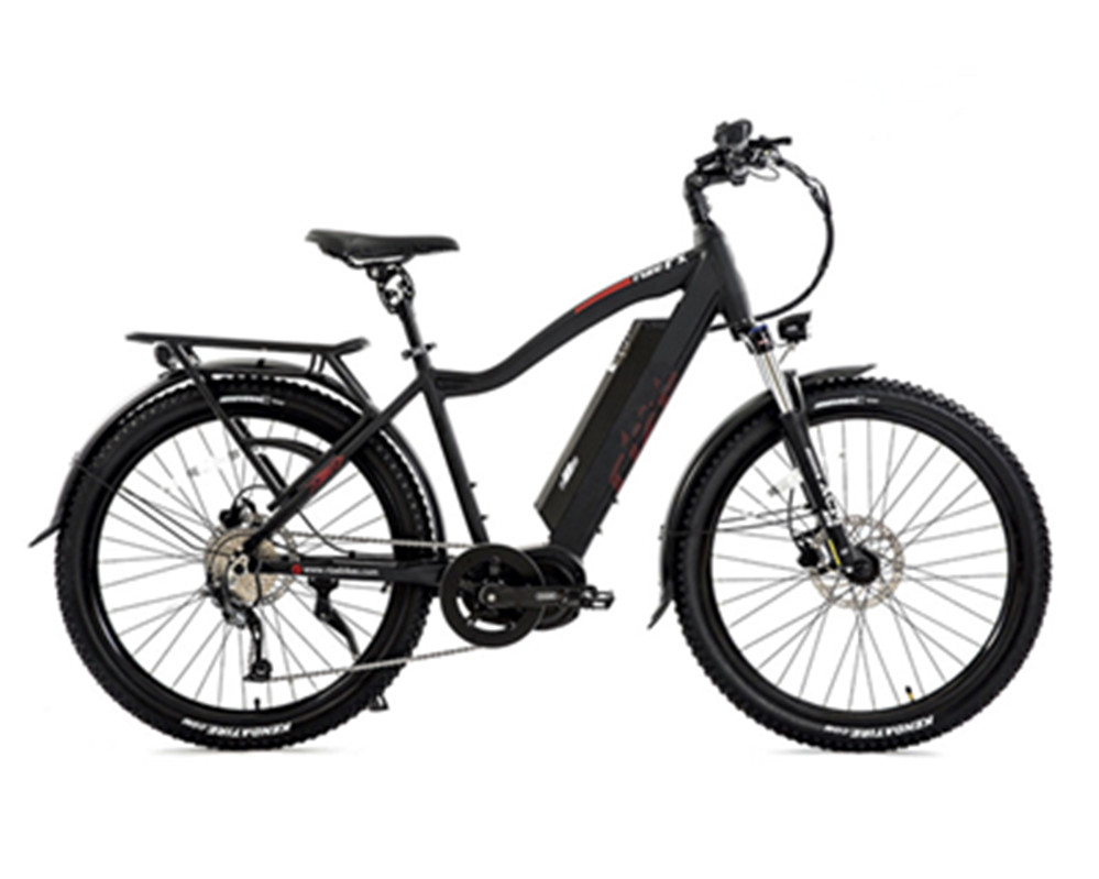 Lee5210 Elektro-Mountainbike mit Mittelmotor, 1000 W, Bafang G510 
   