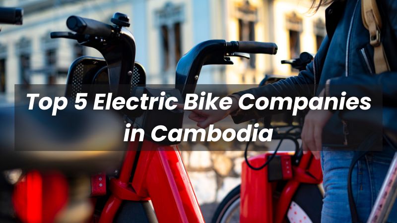 Die Top 5 der E-Bike-Hersteller in Kambodscha im Jahr 2025
   