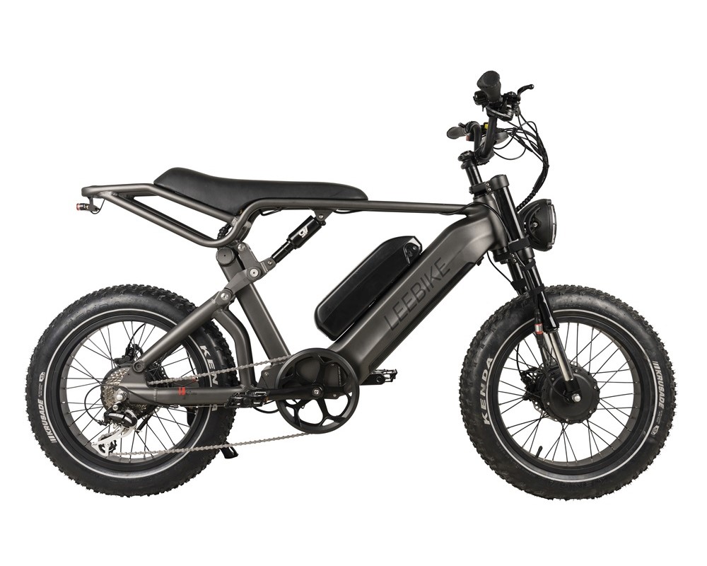 Elektrofahrrad mit zwei Motoren und zwei Akkus, Fatbike-Reifen, Lee953
   