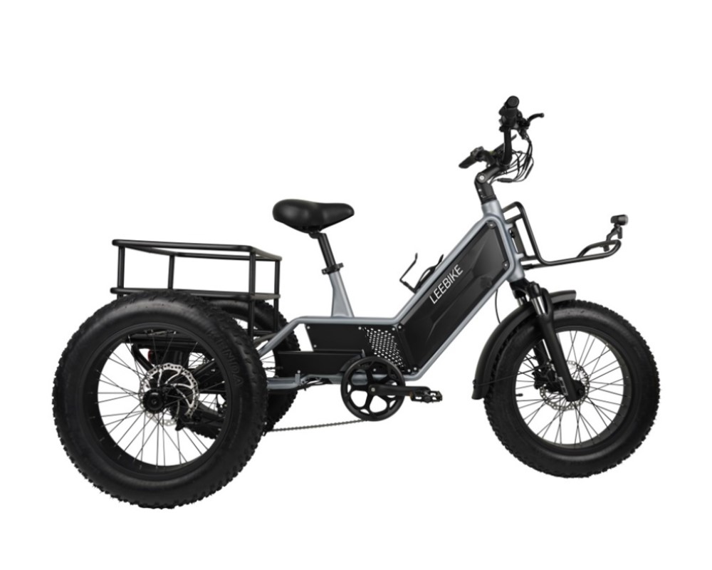 Dreirad mit versteckter Batterie, Elektro-Dreirad LEE992
   