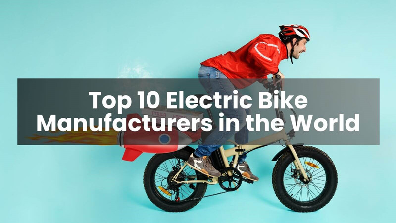 Die 10 größten Hersteller von Elektrofahrrädern weltweit (2025)
   