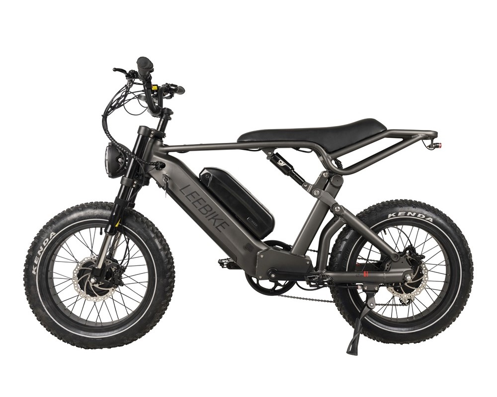 Elektrisches Fatbike
   