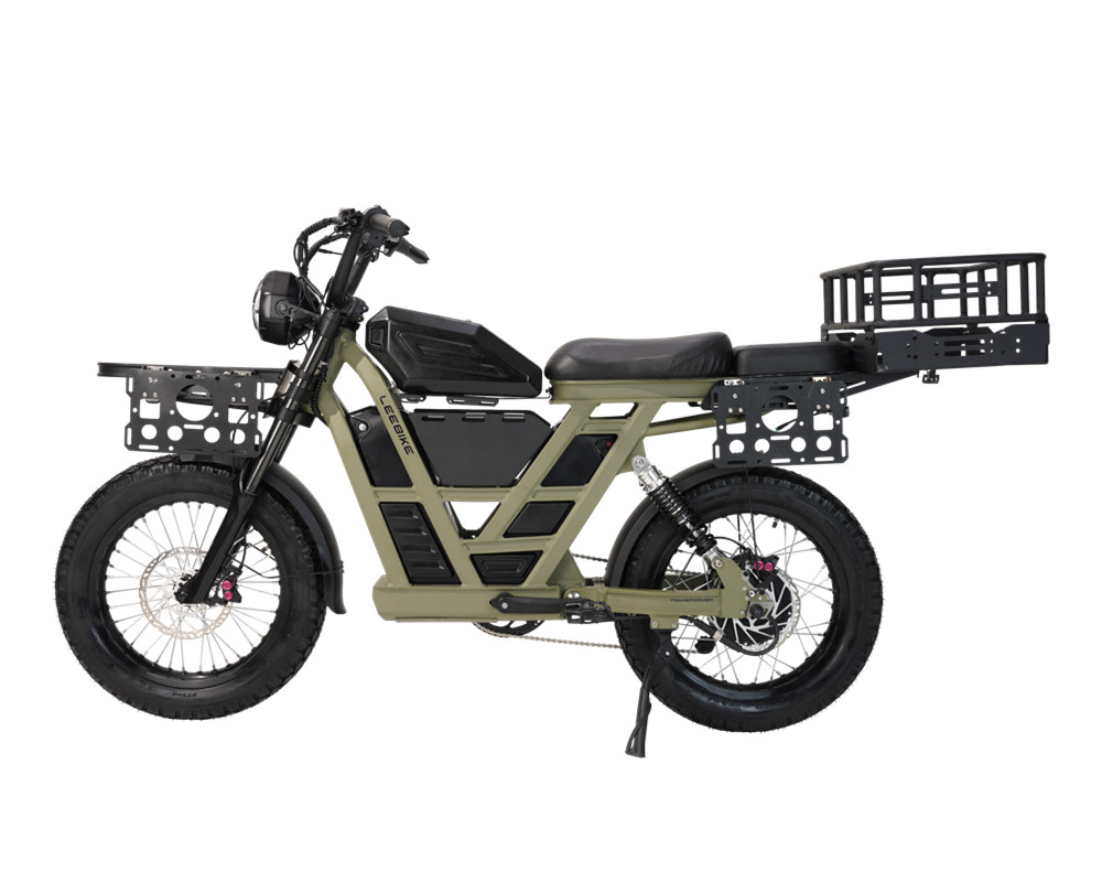 Elektrisches Fatbike
   
