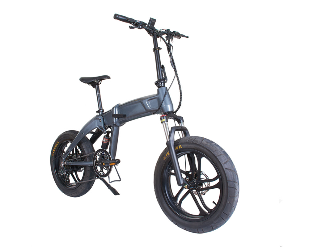 Folding Electric Bike lee9120