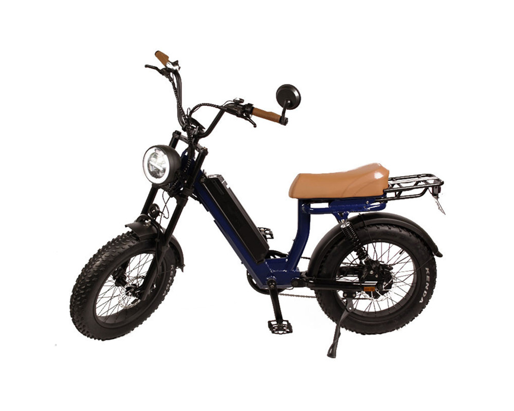 Moped style Fat Tire Electric bike lee9400