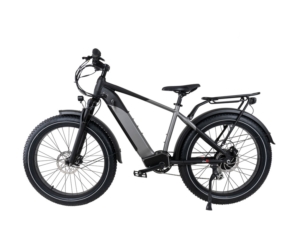 Fat Tire Snow Beach Electric Mountain Bike lee9030